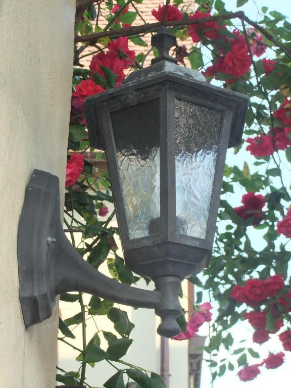Pension Becker Rothenburg ob der Tauber Exterior foto